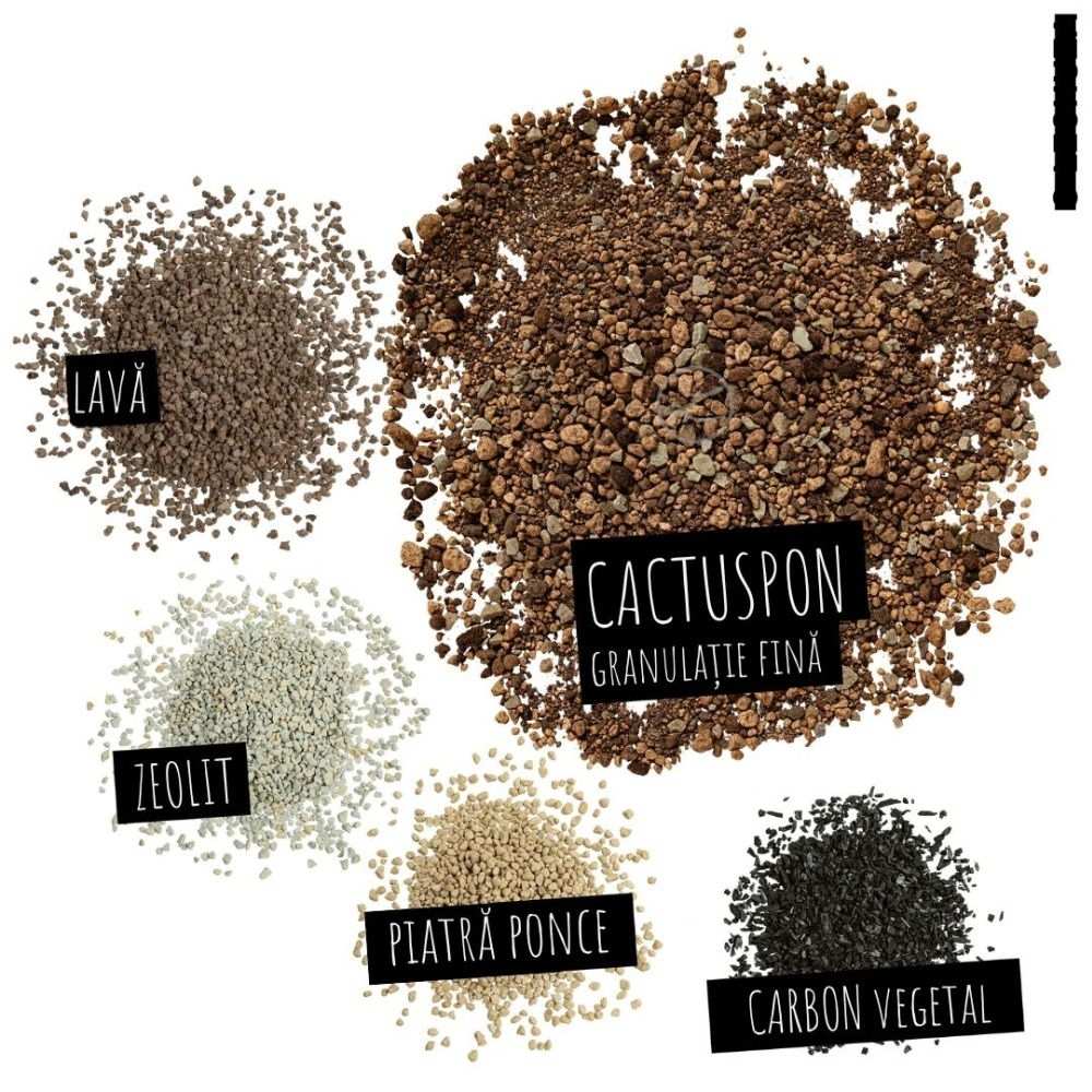 Substrat Mineral LECHUZA Cactuspon 3 l, pentru cactusi si suculente, 100% fara turba, cu ingrediente naturale