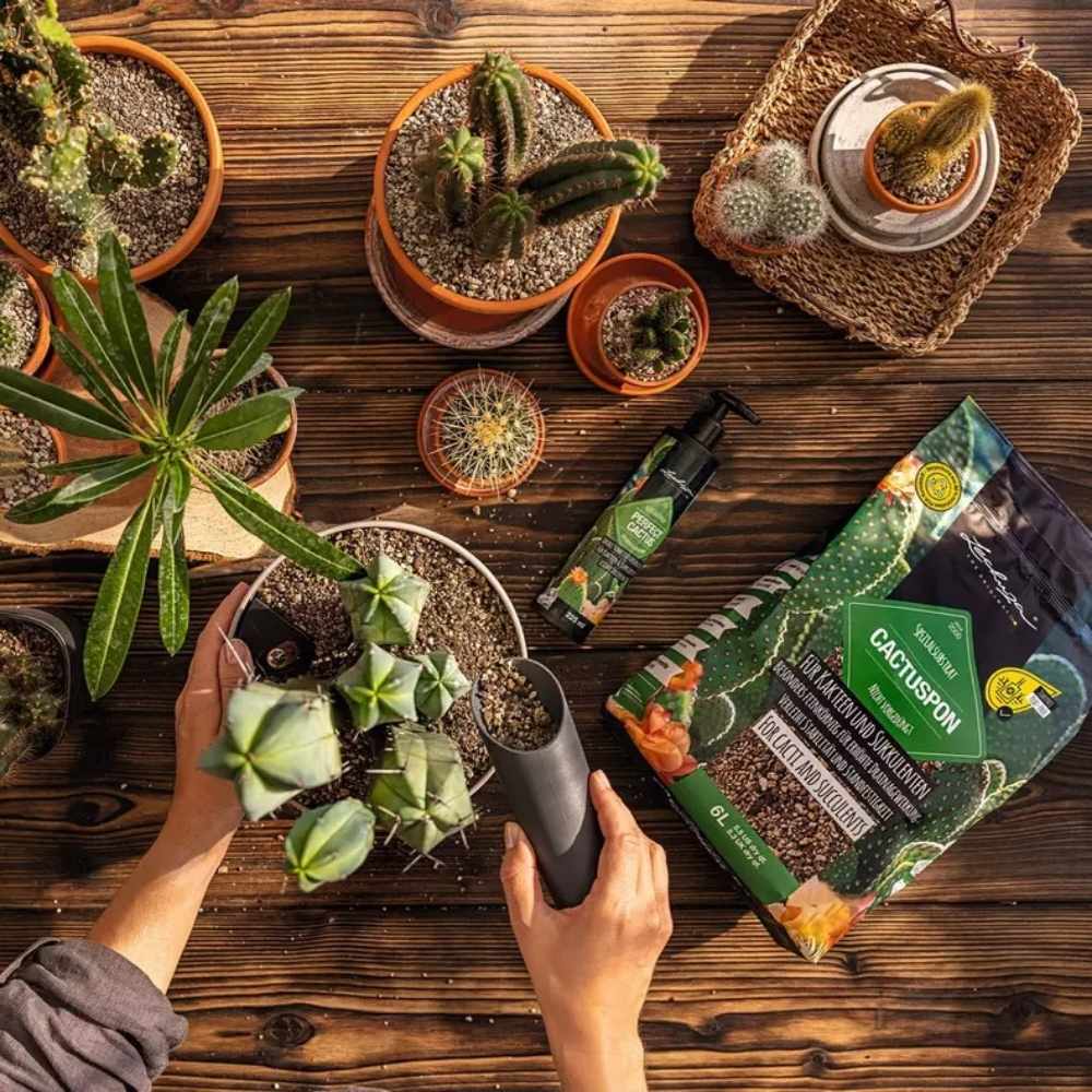 Substrat Mineral LECHUZA Cactuspon 3 l, pentru cactusi si suculente, 100% fara turba, cu ingrediente naturale