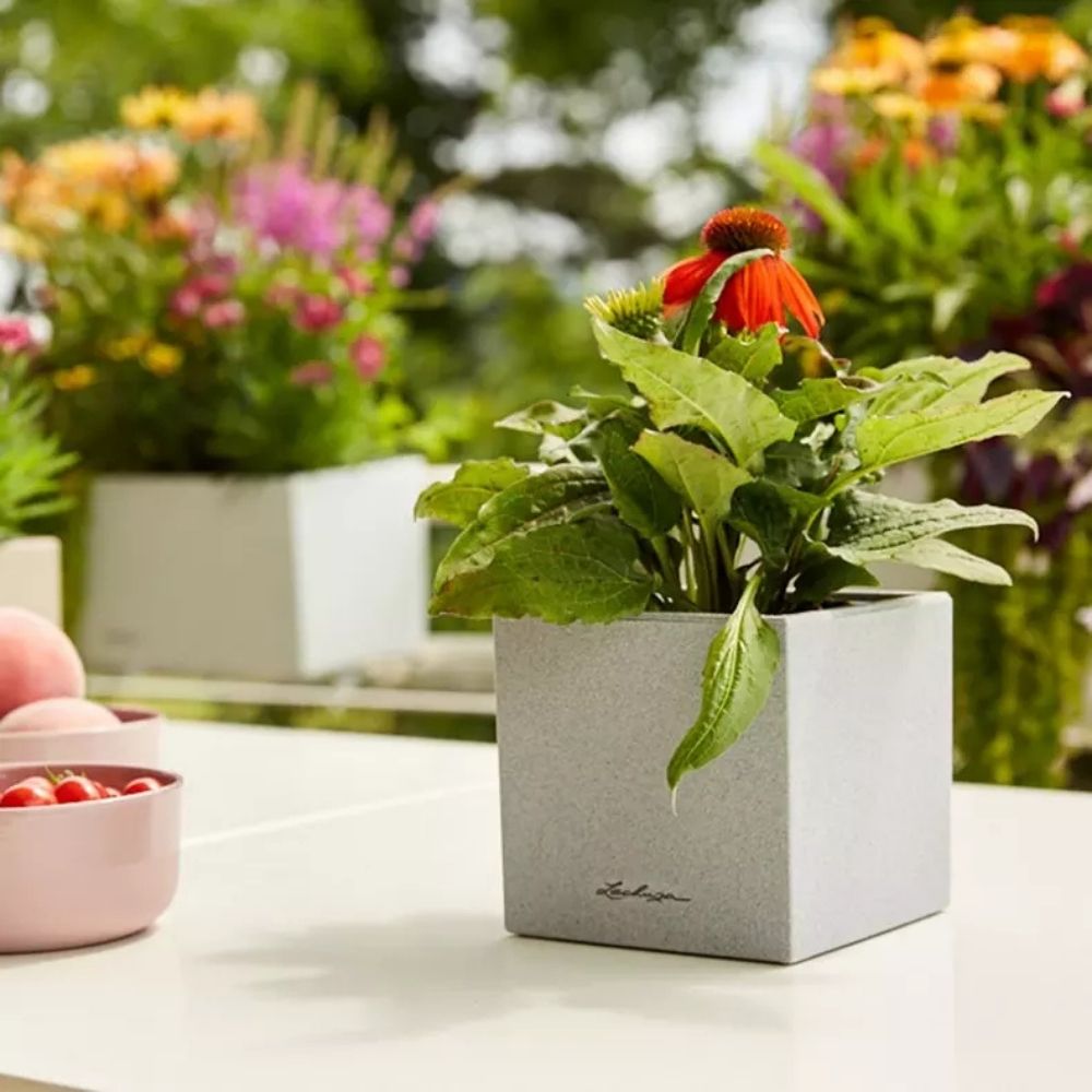 Ghiveci Auto-Irigant Lechuza Canto Stone 14, efect piatra gri, pentru plante cu ghiveci, sistem de autoirigare, insert detasabil, strat de drenaj