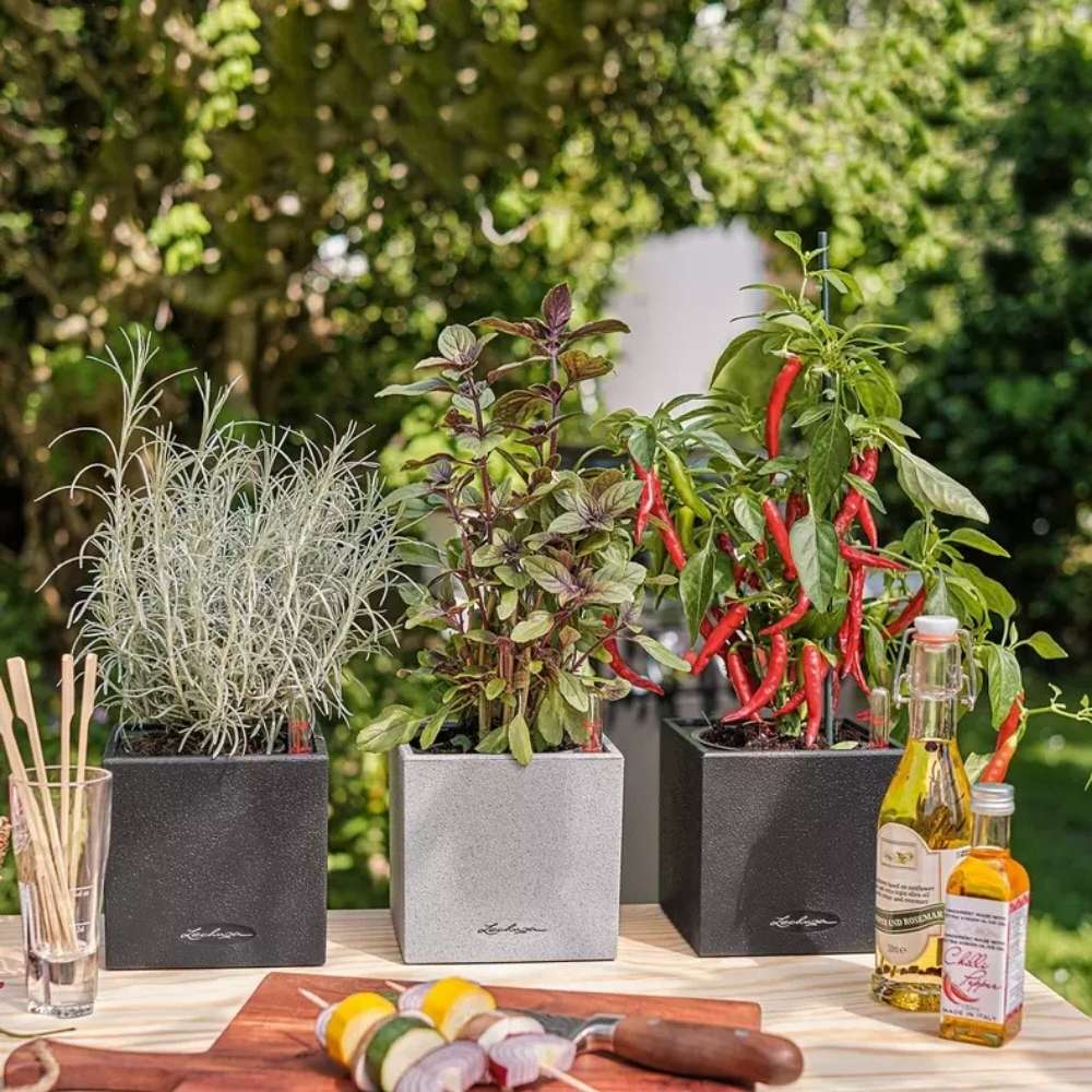 Ghiveci Auto-Irigant Lechuza Canto Stone 14, efect piatra gri, pentru plante cu ghiveci, sistem de autoirigare, insert detasabil, strat de drenaj