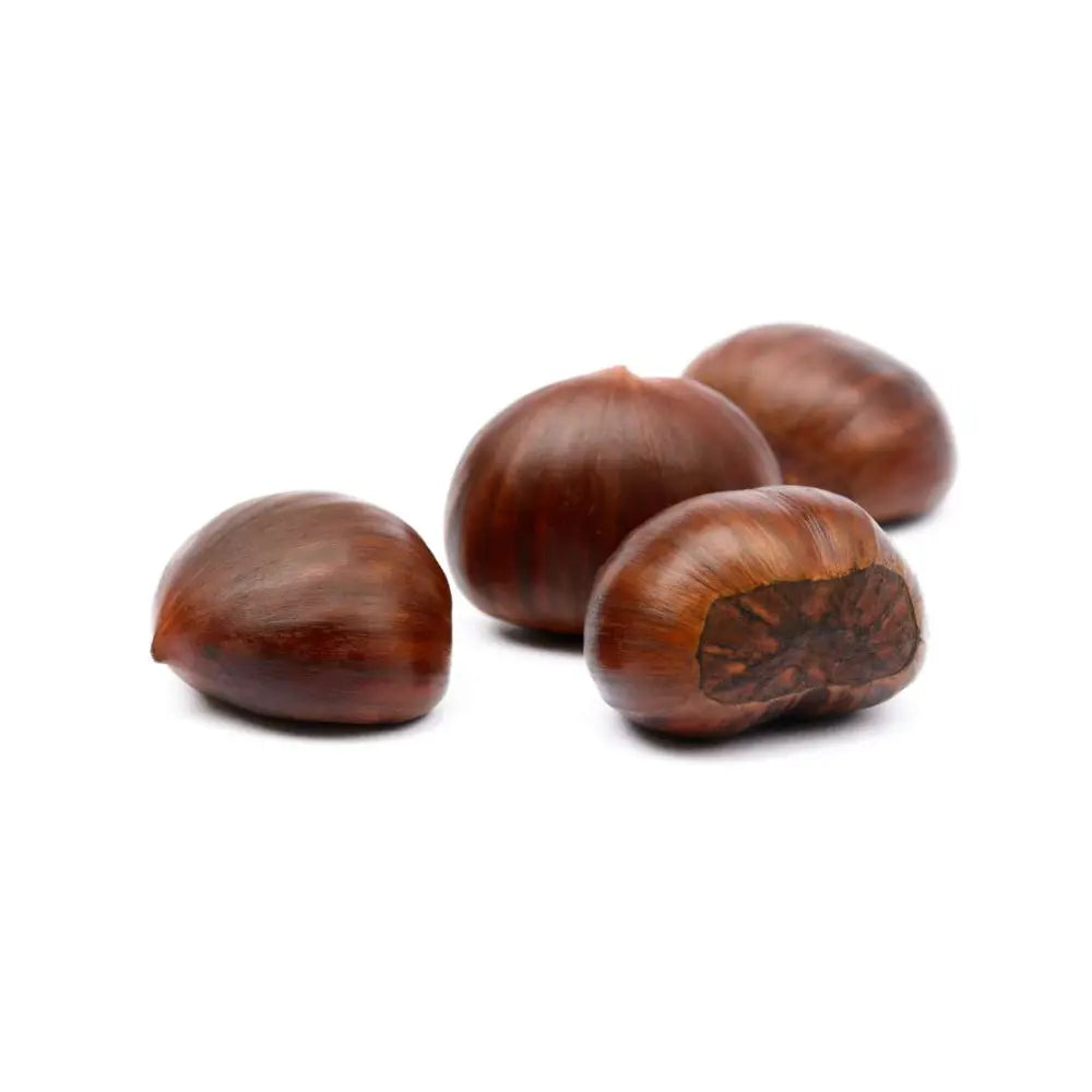 Castan Comestibil (Castanea Sativa) Marrone Di Marradi, cu castane gustoase, an 2 pe rod