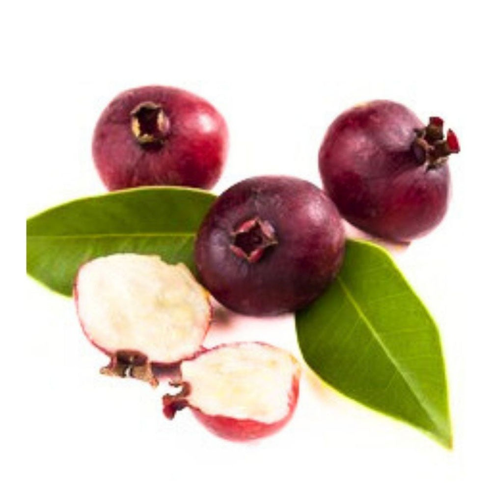 Guava Capsuna (Psidium cattleianum), arborele exotic cu fructe rosii, dulci si parfumate