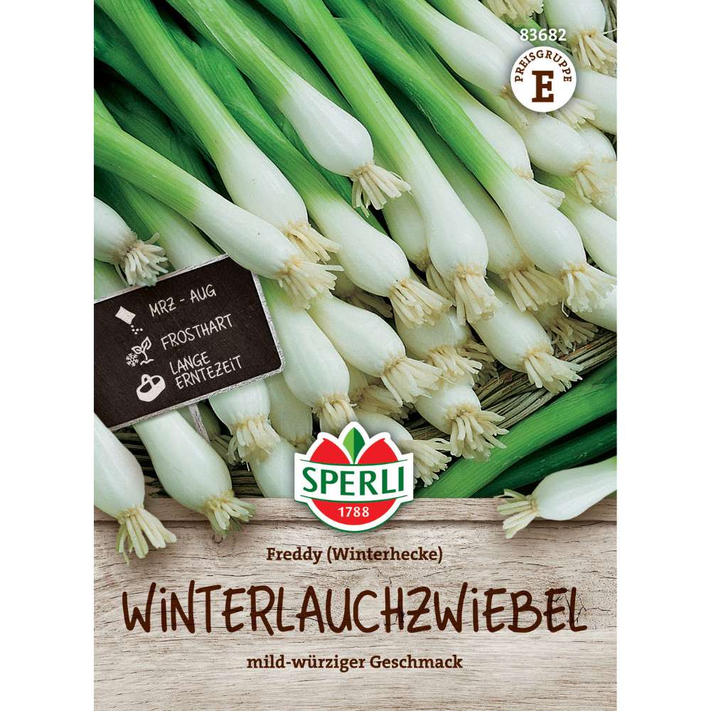 Seminte ceapa Freddy – ceapa perena de iarna, ideala pentru recolta continua