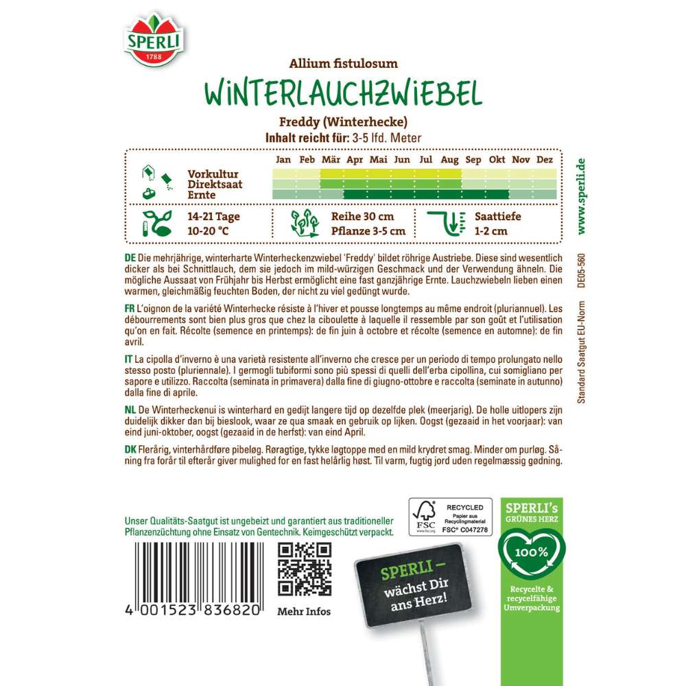 Seminte ceapa Freddy – ceapa perena de iarna, ideala pentru recolta continua