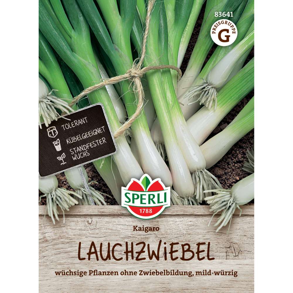 Seminte ceapa verde Kaigaro SPERLI – soi timpuriu si viguros
