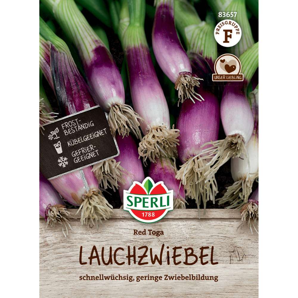 Seminte ceapa rosie Red Toga – gust dulce si culoare intensa