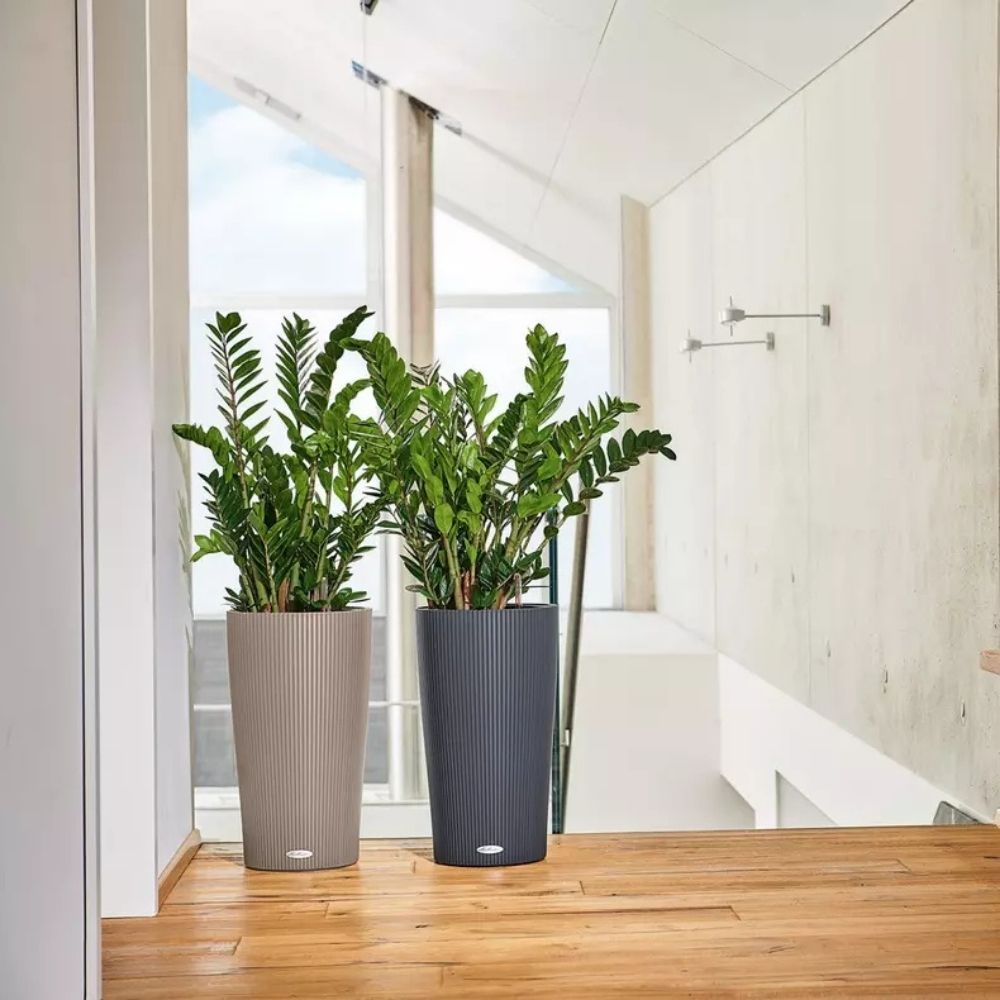 Ghiveci Auto-Irigant Lechuza Cilindro Color 32, 13 l, negru mat, sistem de autoirigare, insert detasabil, strat de drenaj