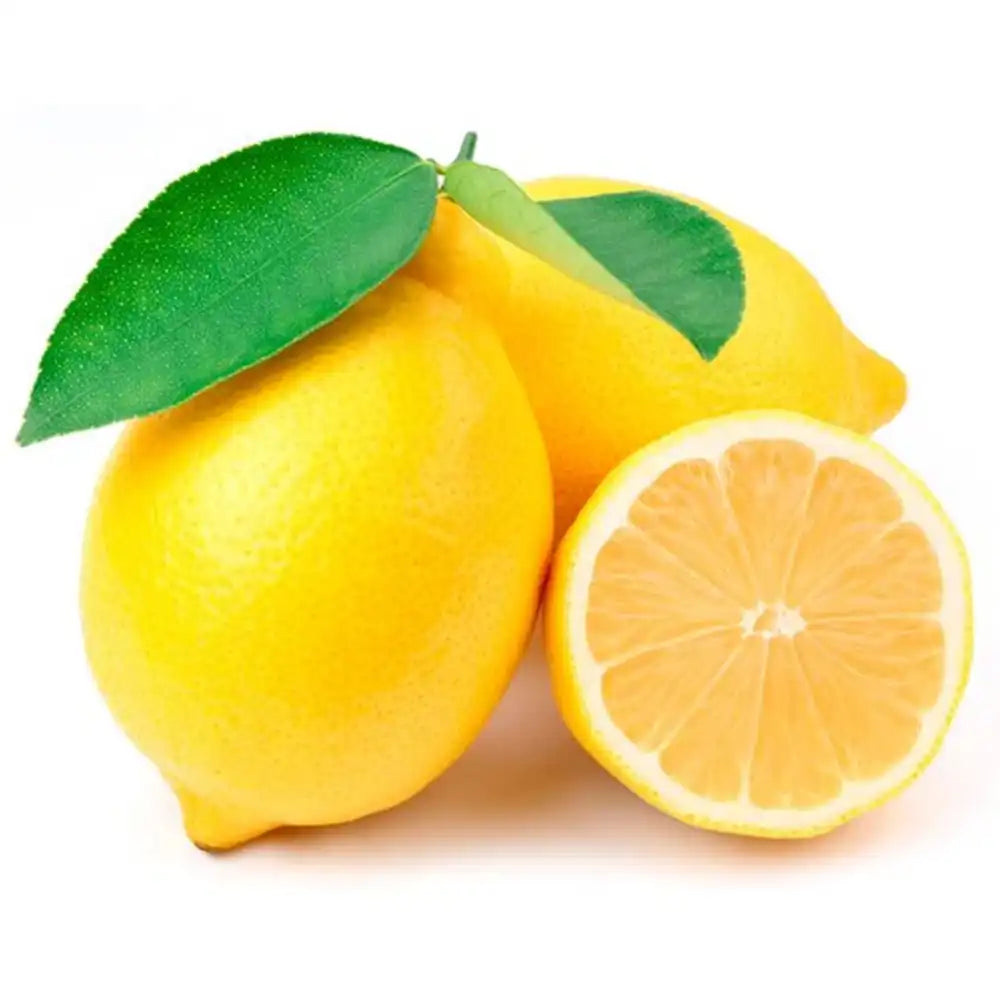 Pom Lamai (Citrus Limon), fructifer decorativ, autofertil, fructe galbene, parfumate, 140/160 cm, an 3 pe rod