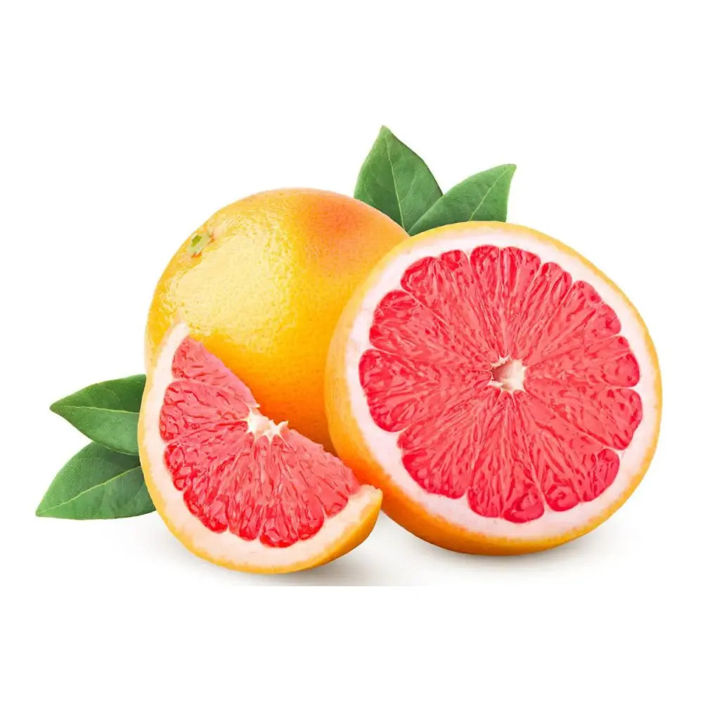 Grepfrut Pompelmo Rosa (Citrus paradisi) cu fructe roz-portocalii acrisoare, an 2 pe rod