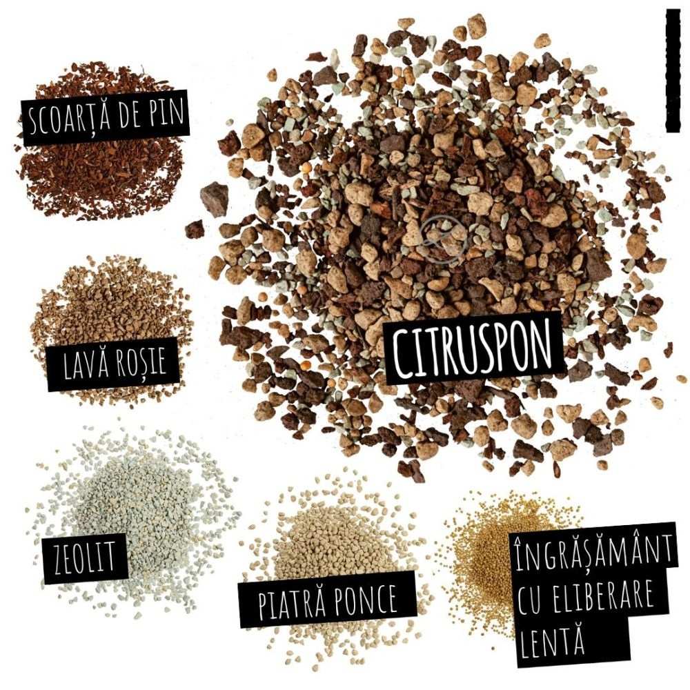 Substrat Mineral LECHUZA Citruspon 25 l, pentru citrice, 100% fara turba, cu ingrediente naturale