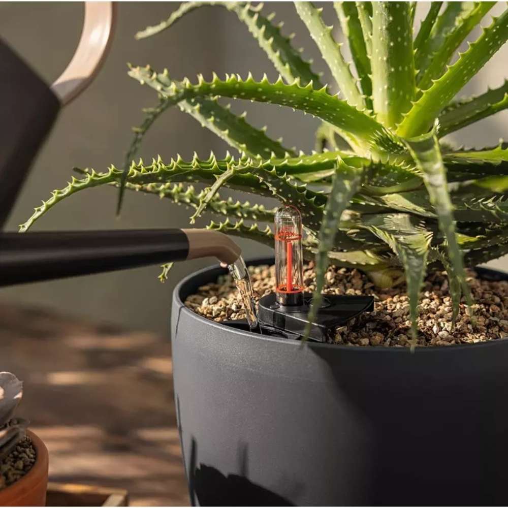 Ghiveci Auto-Irigant Lechuza Classico Color 21, 5 l, alb mat, sistem de autoirigare, insert detasabil, strat de drenaj