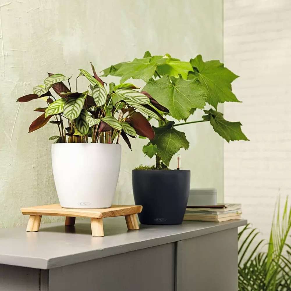 Ghiveci Auto-Irigant Lechuza Classico Color 21, 5 l, alb mat, sistem de autoirigare, insert detasabil, strat de drenaj