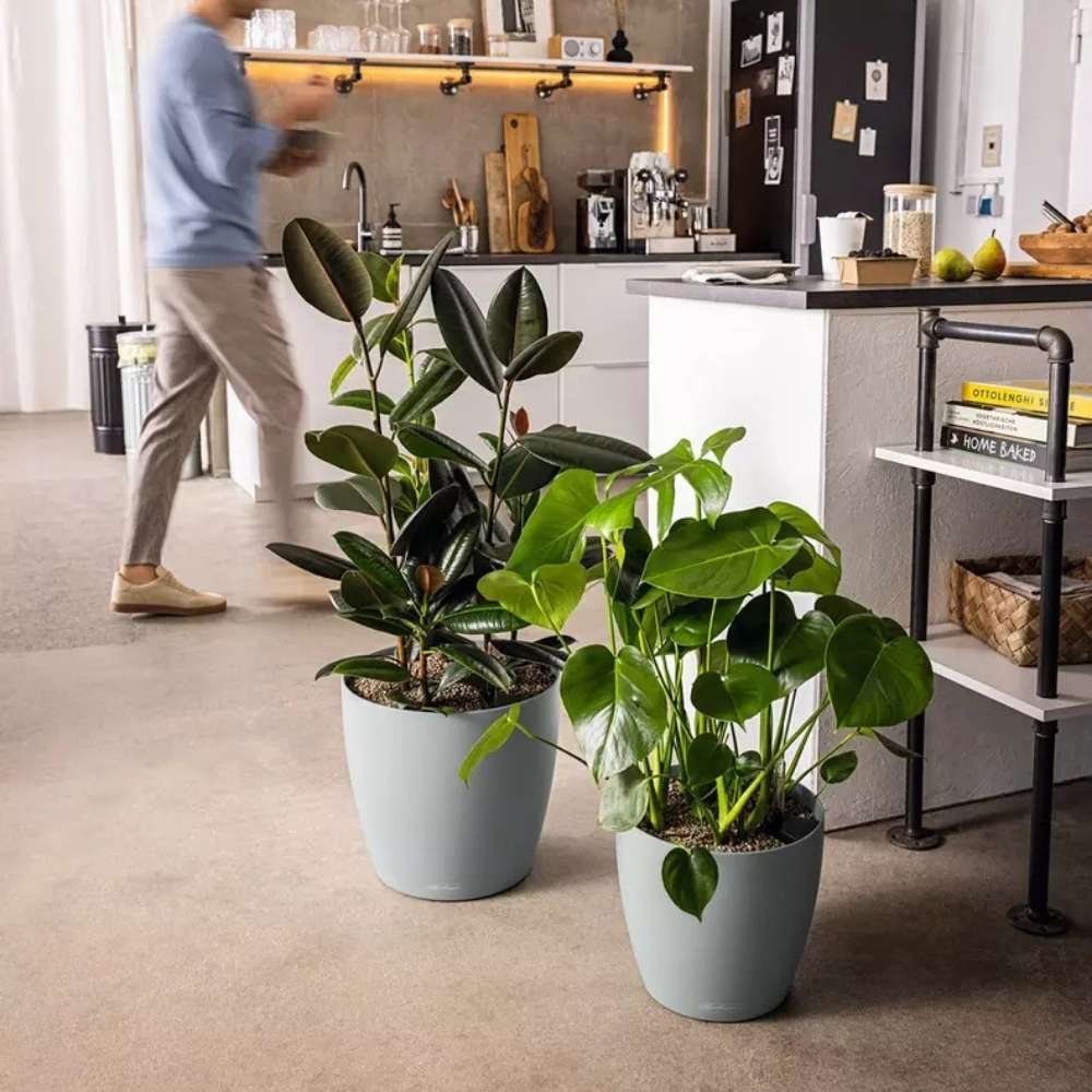 Ghiveci Auto-Irigant Lechuza Classico Color 35, 17 l, negru mat, sistem de autoirigare, insert detasabil, strat de drenaj