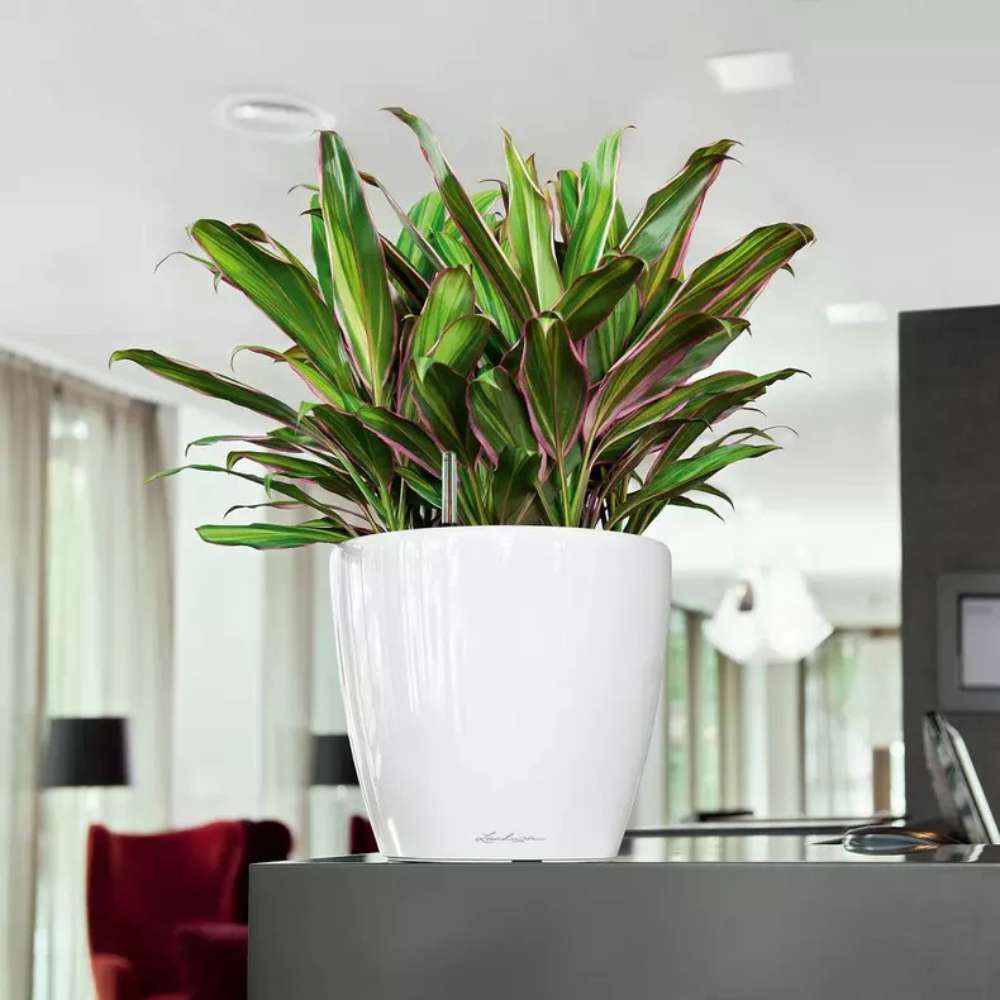 Ghiveci Auto-Irigant Lechuza Classico Premium 21 LS, 3 l, alb lucios, sistem de autoirigare, insert detasabil, strat de drenaj