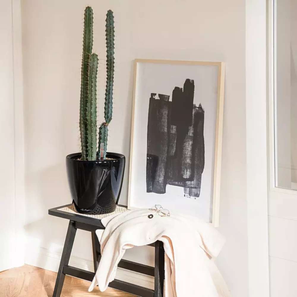 Ghiveci Auto-Irigant Lechuza Classico Premium 21 LS, 3 l, negru lucios, sistem de autoirigare, insert detasabil, strat de drenaj