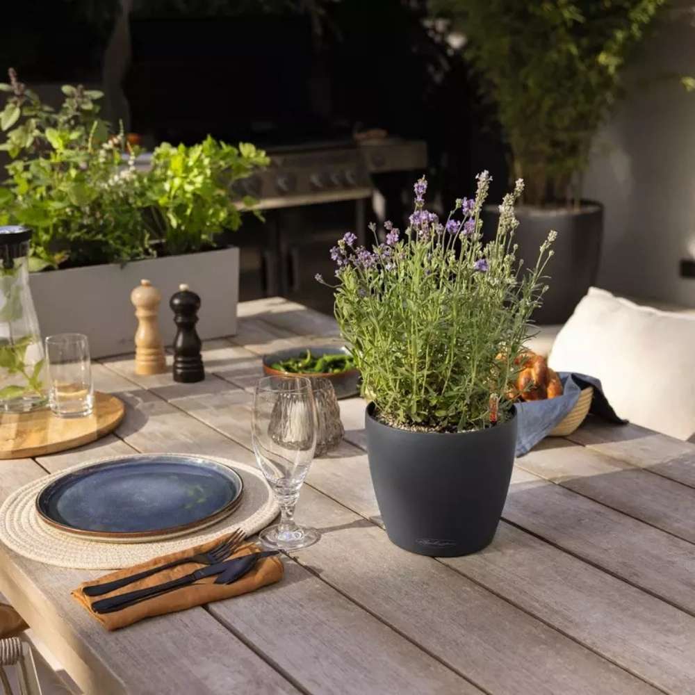 Ghiveci Auto-Irigant Lechuza Classico Color 18, 2.5 l, alb mat, sistem de autoirigare, insert detasabil, strat de drenaj