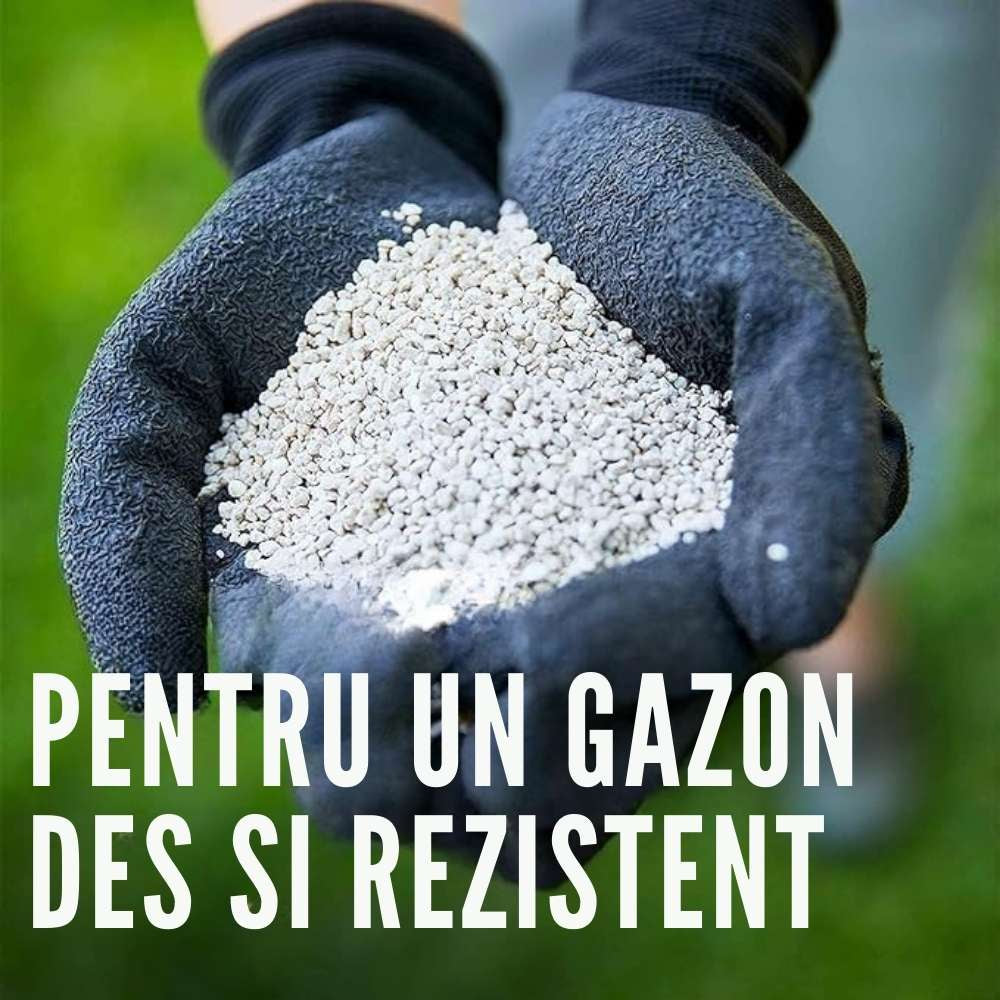 Ingrasamant gazon COMPO cu efect indelungat Perfect, NPK 22-3-10, 3 kg pentru 120 mp