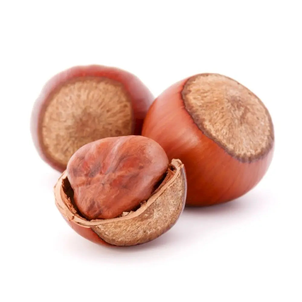 Alun Gentile Tonda Romana (Corylus avellana), cu gust dulce-nucos, an 2 pe rod