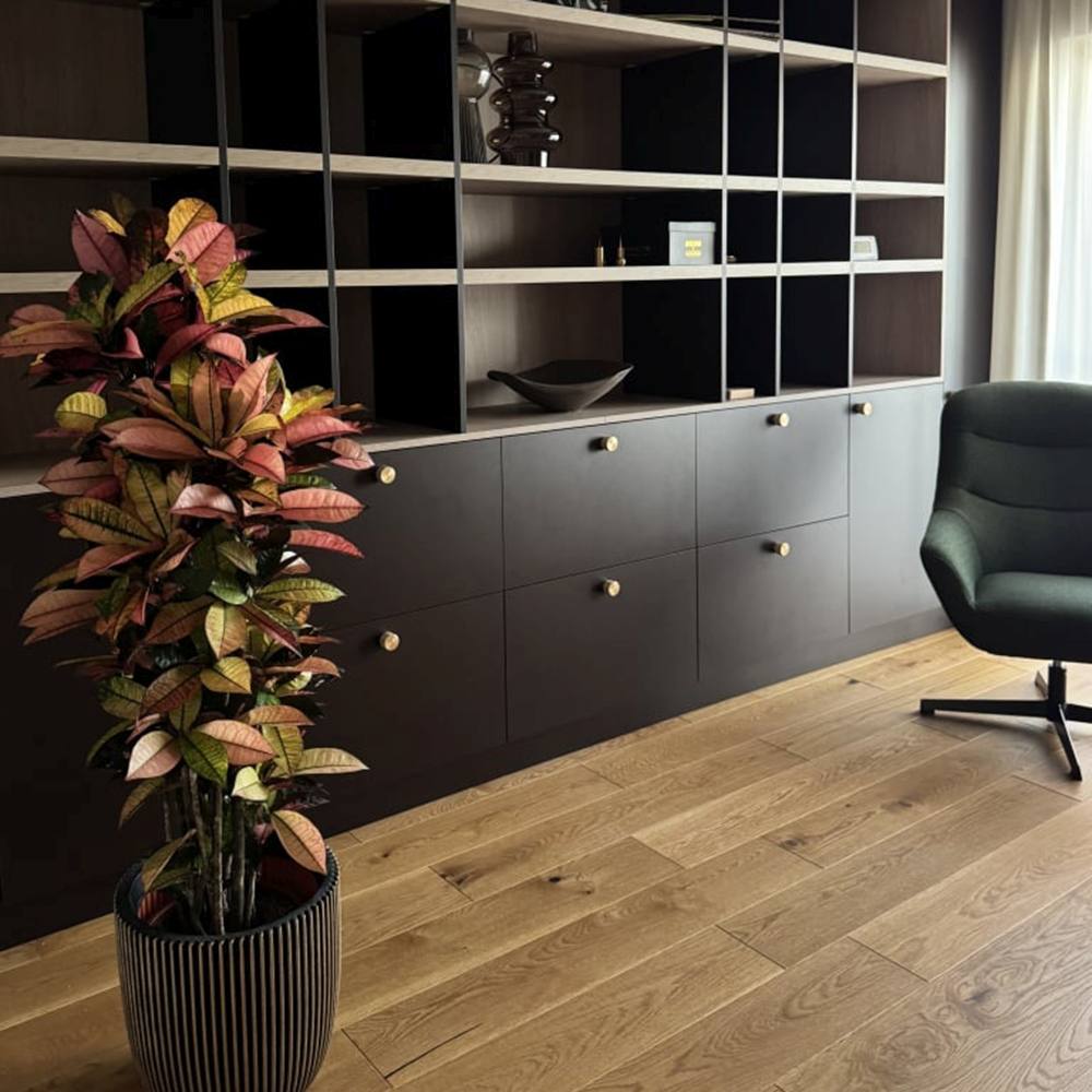 Croton Codiaeum Variegatum Mrs. Iceton, 180 cm, planta de apartament exotica cu frunze rosii portocalii galbene