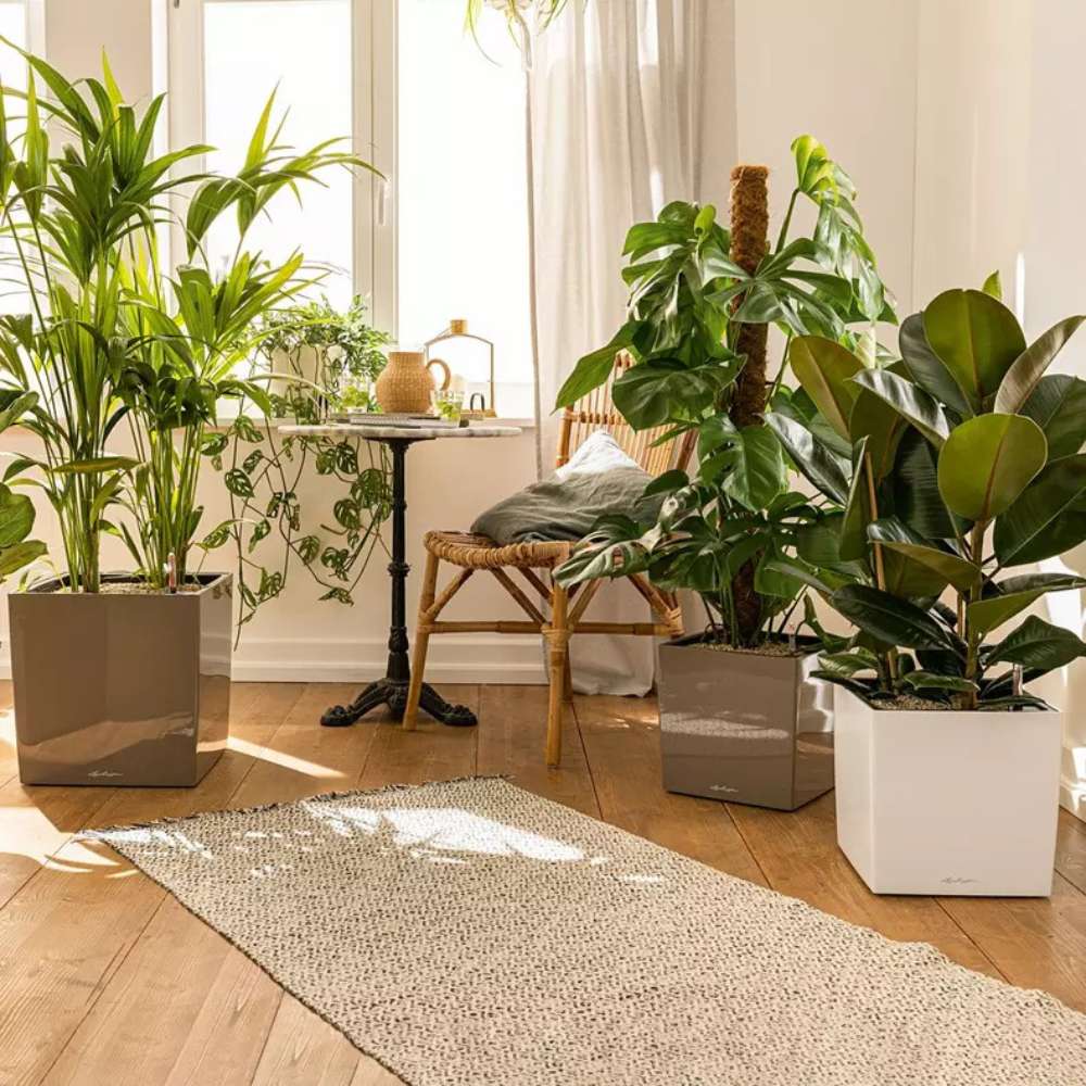 Ghiveci Auto-Irigant Lechuza Cube Premium 30, 12 l, alb lucios, sistem de autoirigare, insert detasabil, strat de drenaj