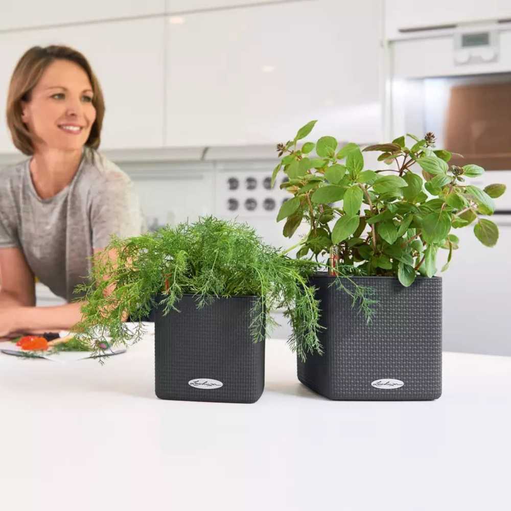 Ghiveci Auto-Irigant Lechuza Cube Color 16, efect de ratan negru, pentru plante cu ghiveci, sistem de autoirigare, insert detasabil, strat de drenaj