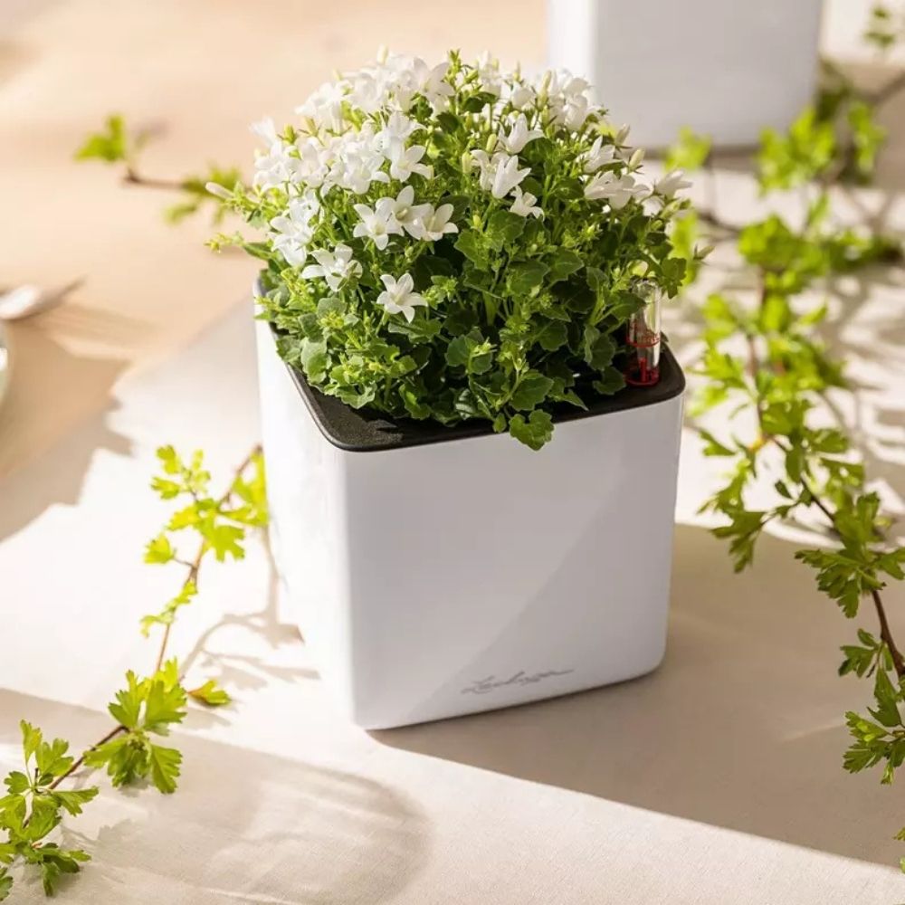 Ghiveci Auto-Irigant Lechuza Cube Glossy 14, alb lucios, pentru plante cu ghiveci, sistem de autoirigare, insert detasabil, strat de drenaj