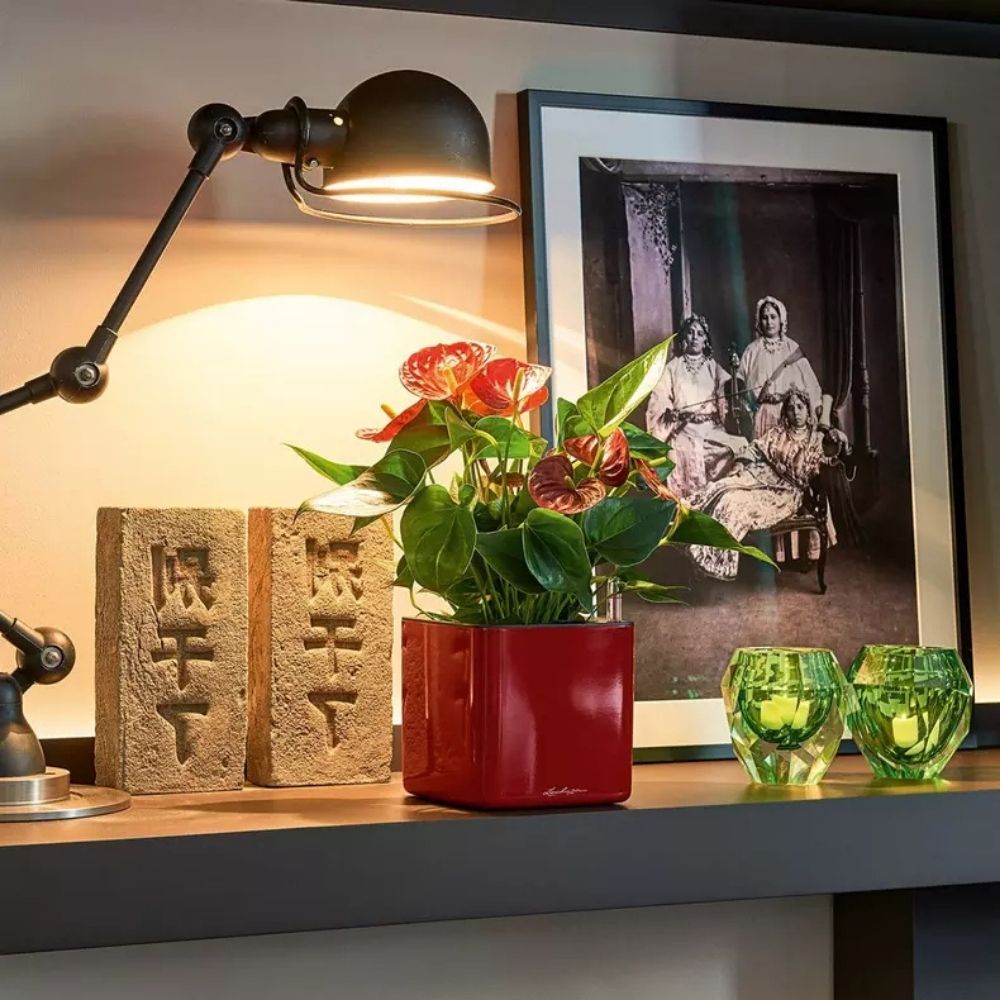 Ghiveci Auto-Irigant Lechuza Cube Glossy 14, rosu lucios, pentru plante cu ghiveci, sistem de autoirigare, insert detasabil, strat de drenaj