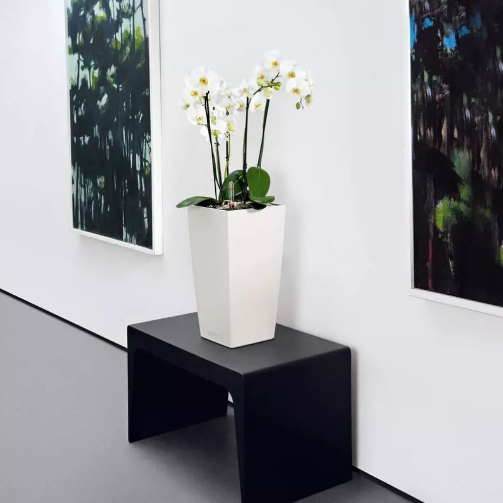 Ghiveci Auto-Irigant Lechuza Cubico Color 22, 6 l, alb mat, sistem de autoirigare, insert detasabil, strat de drenaj