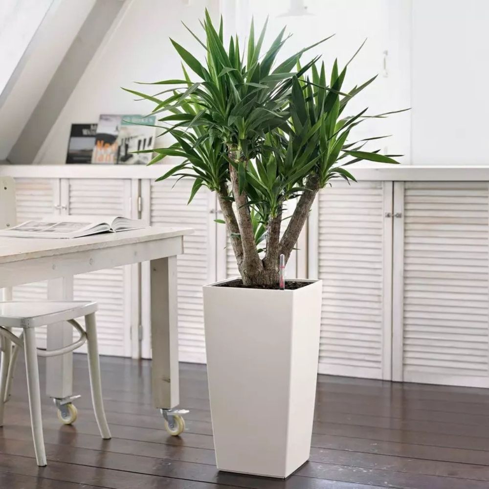 Ghiveci Auto-Irigant Lechuza Cubico Color 30, 14 l, alb mat, sistem de autoirigare, insert detasabil, strat de drenaj