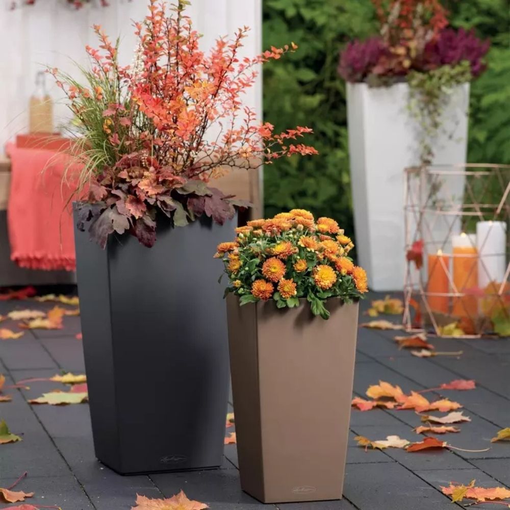 Ghiveci Auto-Irigant Lechuza Cubico Color 30, 14 l, negru mat, sistem de autoirigare, insert detasabil, strat de drenaj