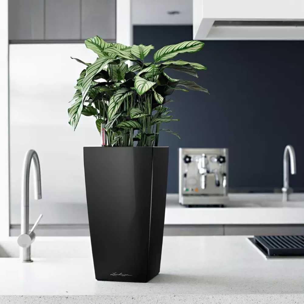 Ghiveci Auto-Irigant Lechuza Cubico Premium 22, 6 l, negru lucios, sistem de autoirigare, insert detasabil, strat de drenaj