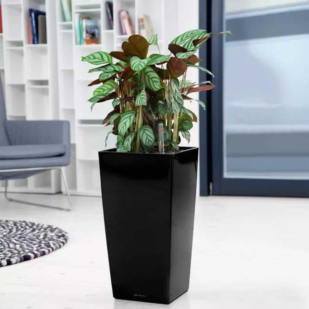 Ghiveci Auto-Irigant Lechuza Cubico Premium 30, 14 l, negru lucios, sistem de autoirigare, insert detasabil, strat de drenaj