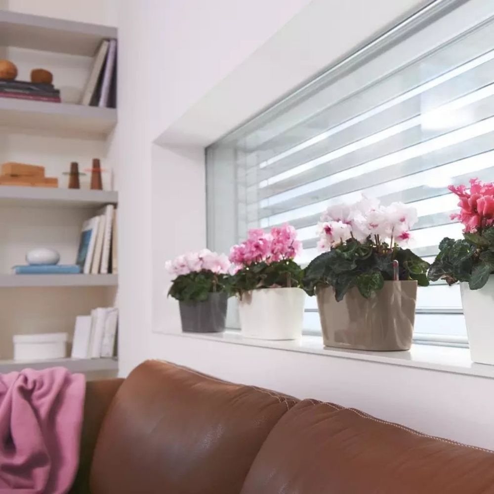 Ghiveci Auto-Irigant Lechuza Delta 10, 2 l, alb lucios, sistem de autoirigare, insert detasabil, strat de drenaj