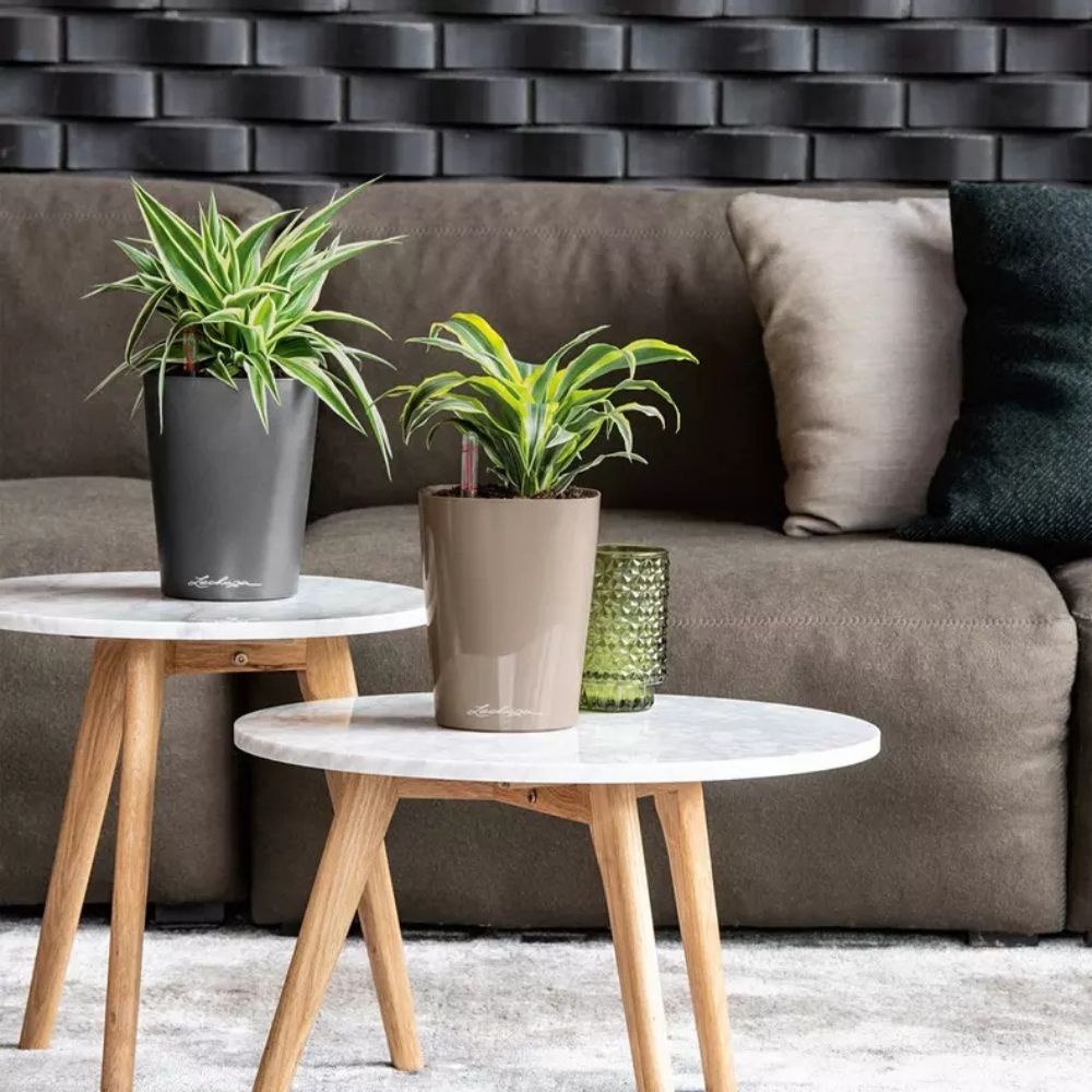 Ghiveci Auto-Irigant Lechuza Deltini 1,2 l, gri lucios, sistem de autoirigare, insert detasabil, strat de drenaj