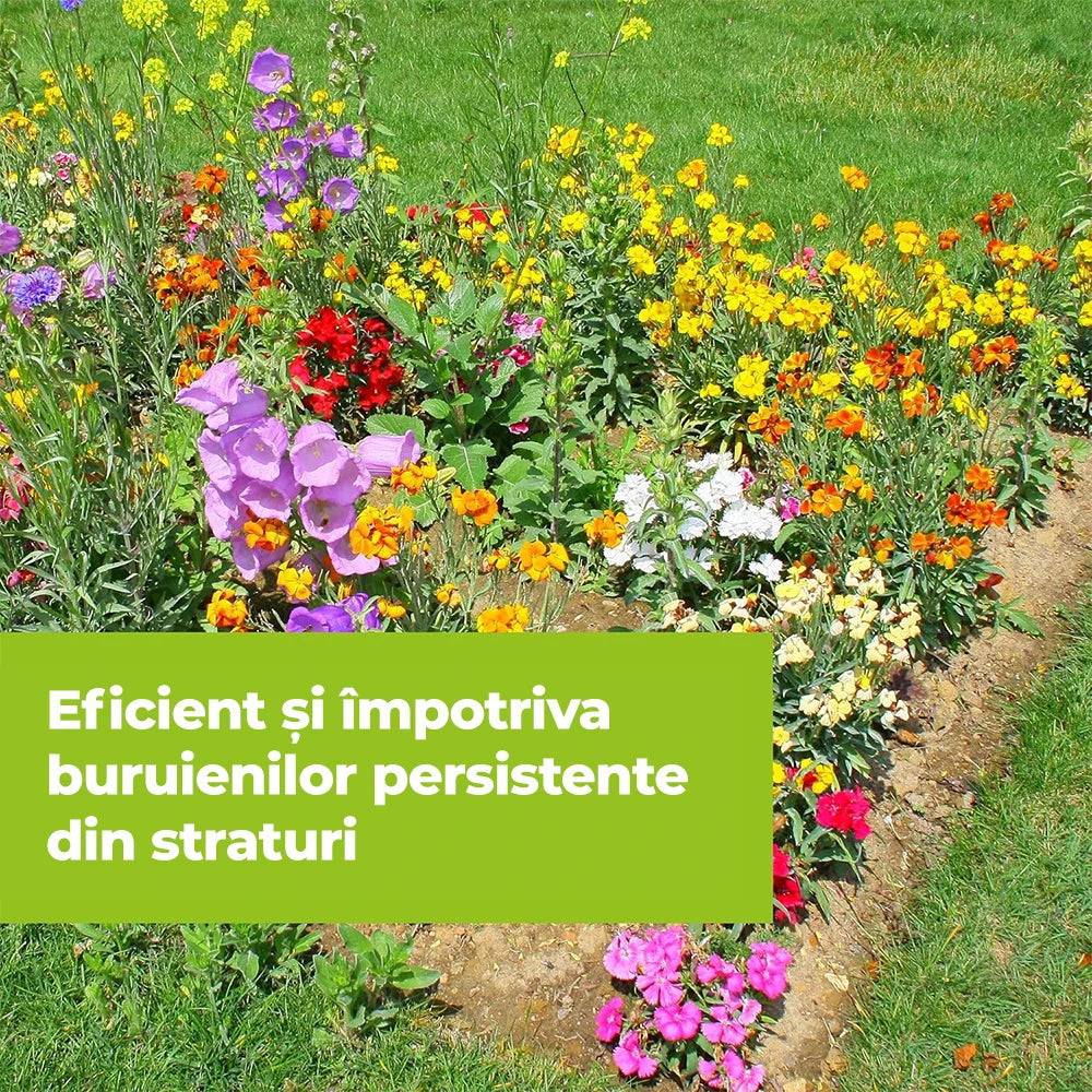 Erbicid Duo pentru Buruieni si Radacini, 500 ml, PROTECT GARDEN