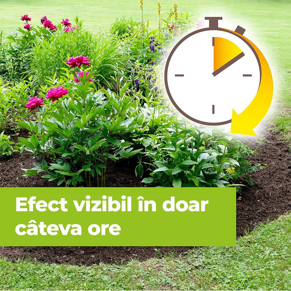 Erbicid Duo pentru Buruieni si Radacini, 500 ml, PROTECT GARDEN