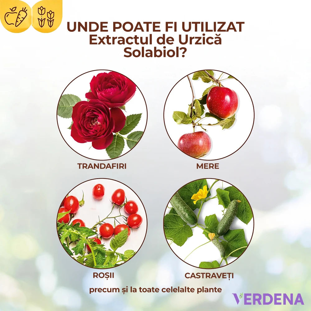 Extract de Urzica pentru Plante ornamentale si fructifere, intarirea si fortificarea plantelor predispuse la daunatori, 1l, SOLABIOL