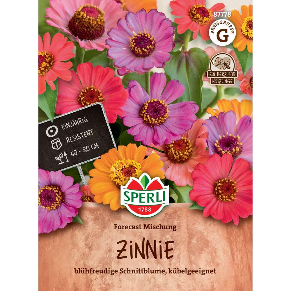 Seminte Zinnia (Cocosel) Forecast – flori intens colorate si rezistente