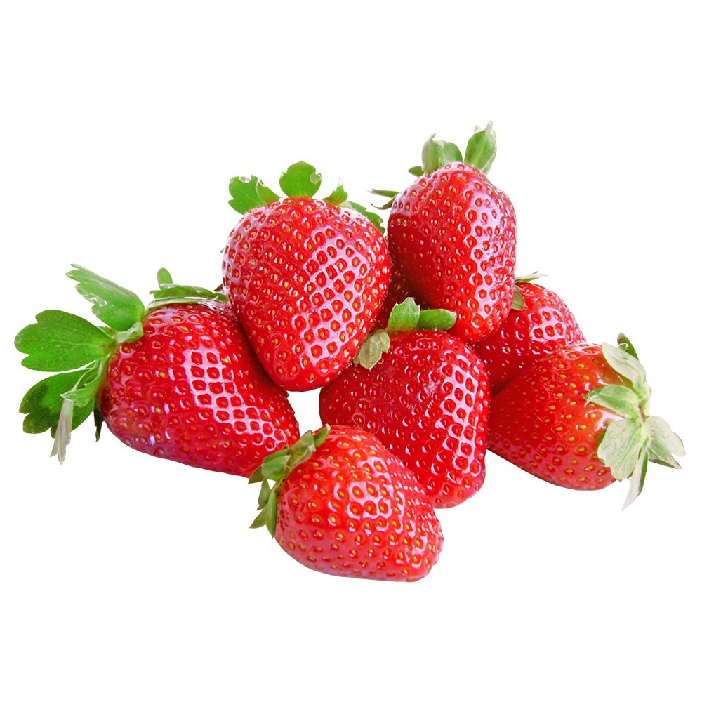 Capsuni Productivi Beltran timpurii (Fragaria Ananassa), cu fructe mari si aromate, ideali pentru gradina, an 3 pe rod