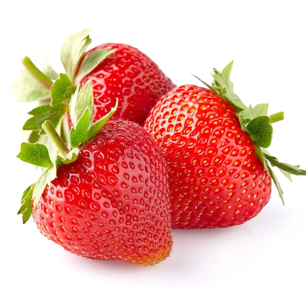 Capsuna Bio Fragaria Queeny, capsuni dulci aromate, productie bogata, organic/bio
