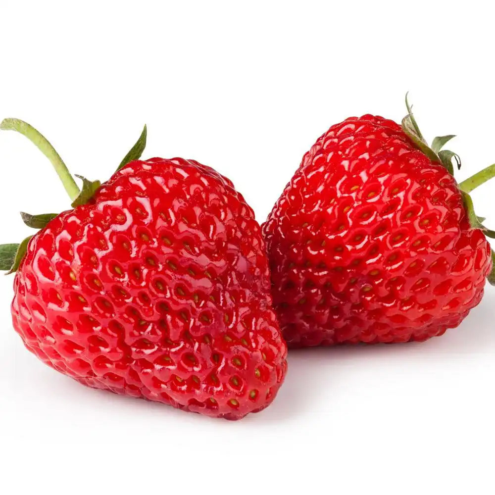 Capsuni Productivi Favori (Fragaria Ananassa), dulci si zemosi, ideali pentru consum proaspat si deserturi, an 3 pe rod