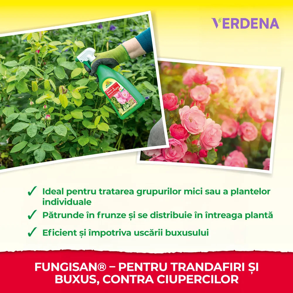 Fungicid pentru Trandafiri si Buxus, 1 l, Contra Bolilor Fungice, NEUDORFF