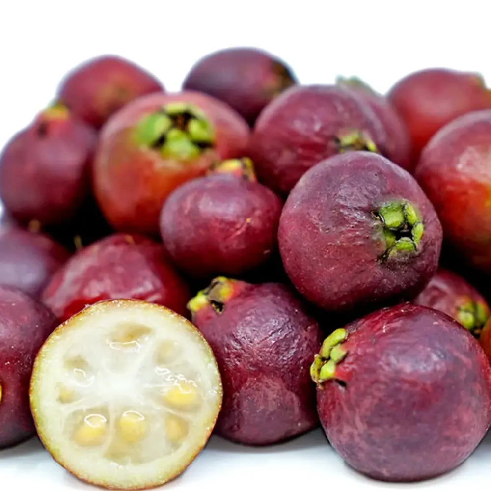 Guava Capsuna (Psidium cattleianum)