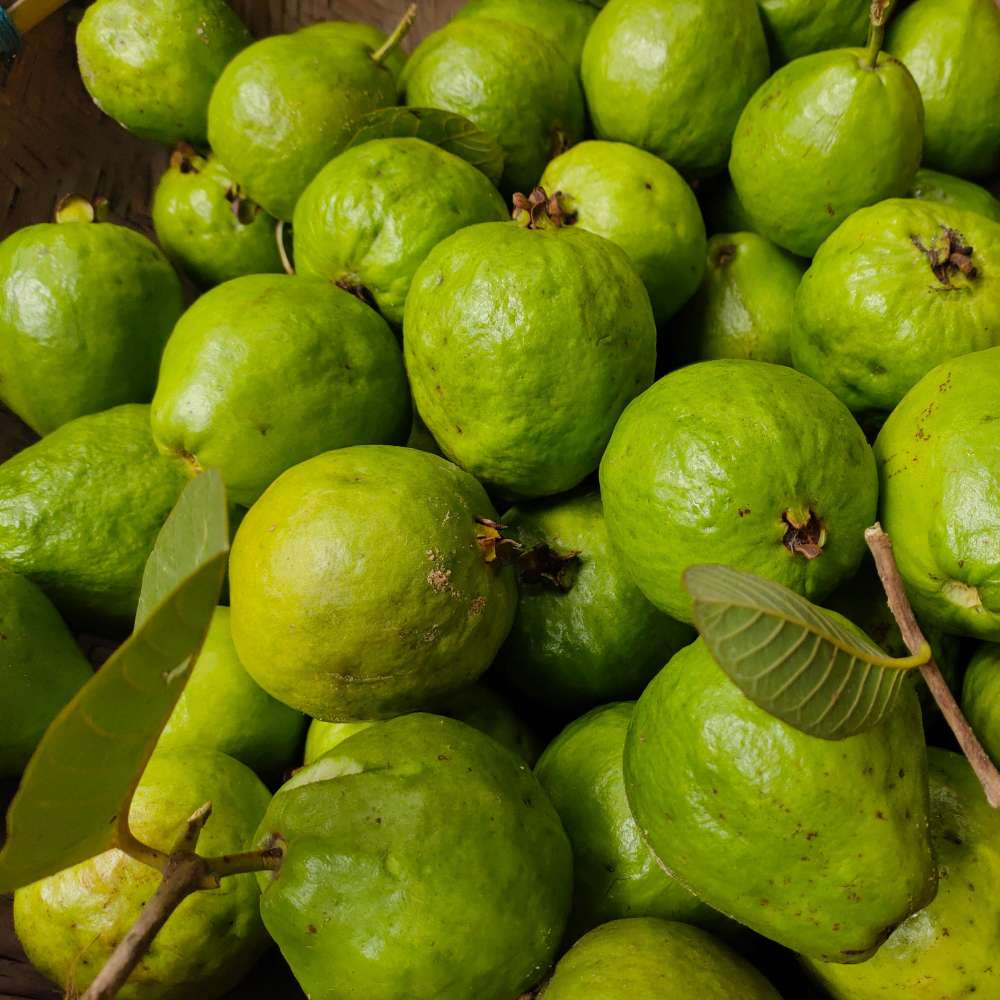 Fructul Guava Cattley (Psidium cattleyanum), exotic cu fructe rosii dulce-acrisor, aroma capsuni si guava, pulpa alb-crem
