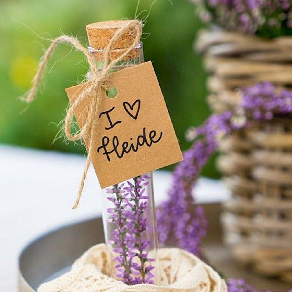 Lavanda de toamna (Calluna), iarba neagra Erica mov, planta de toamna rezistenta, vesnic verde