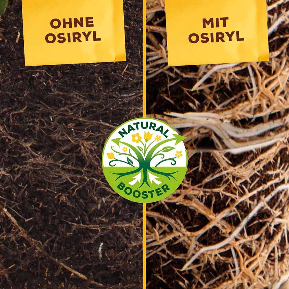 Ingrasamant Organic Universal pentru Gradina, 2.5 kg, cu Efect Imediat si de Lunga Durata pentru Fructe, Legume si Plante Ornamentale, SOLABIOL