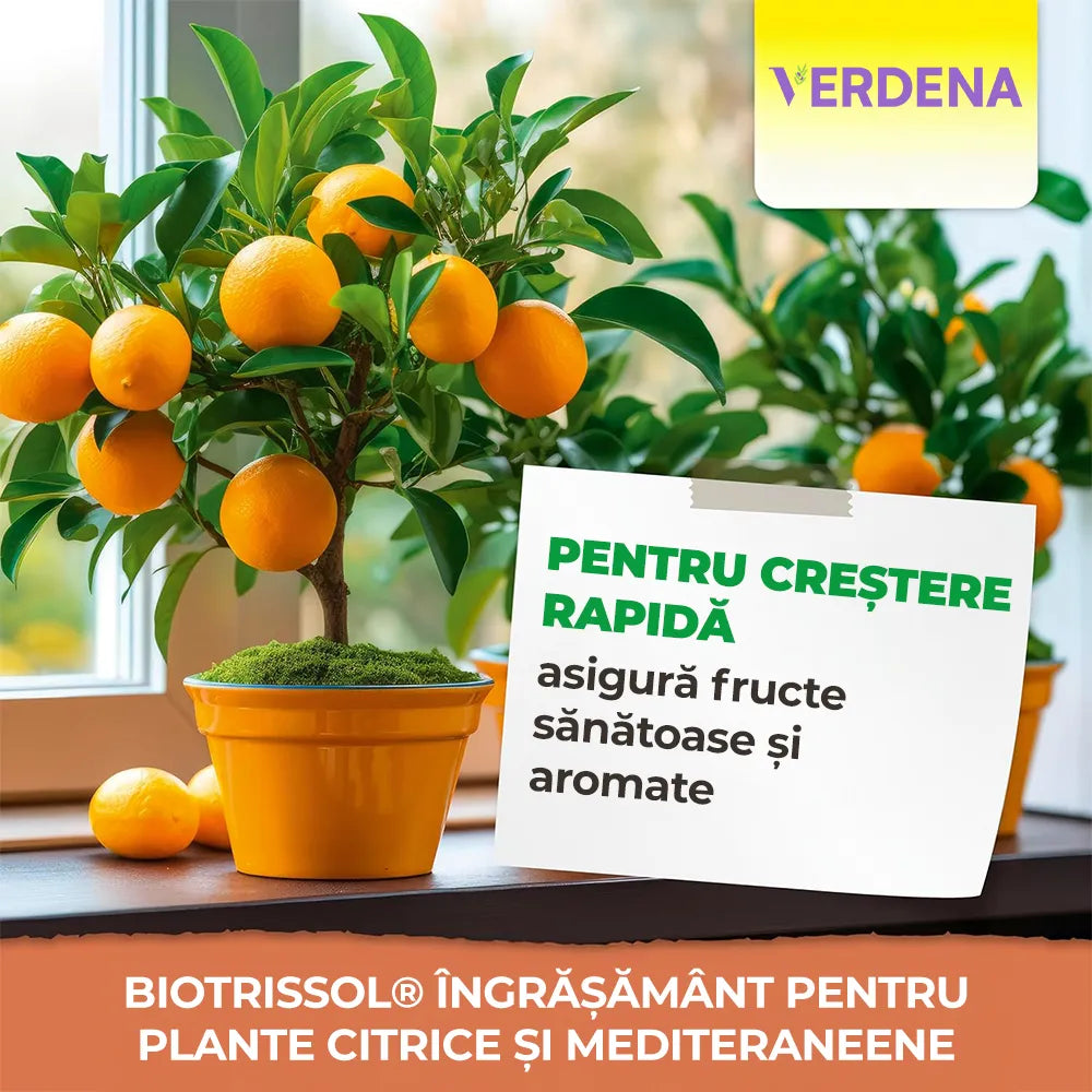 Ingrasamant Lichid pentru Plante Citrice si Mediteraneene, 250 ml, Nutritie Optima, Neudorff