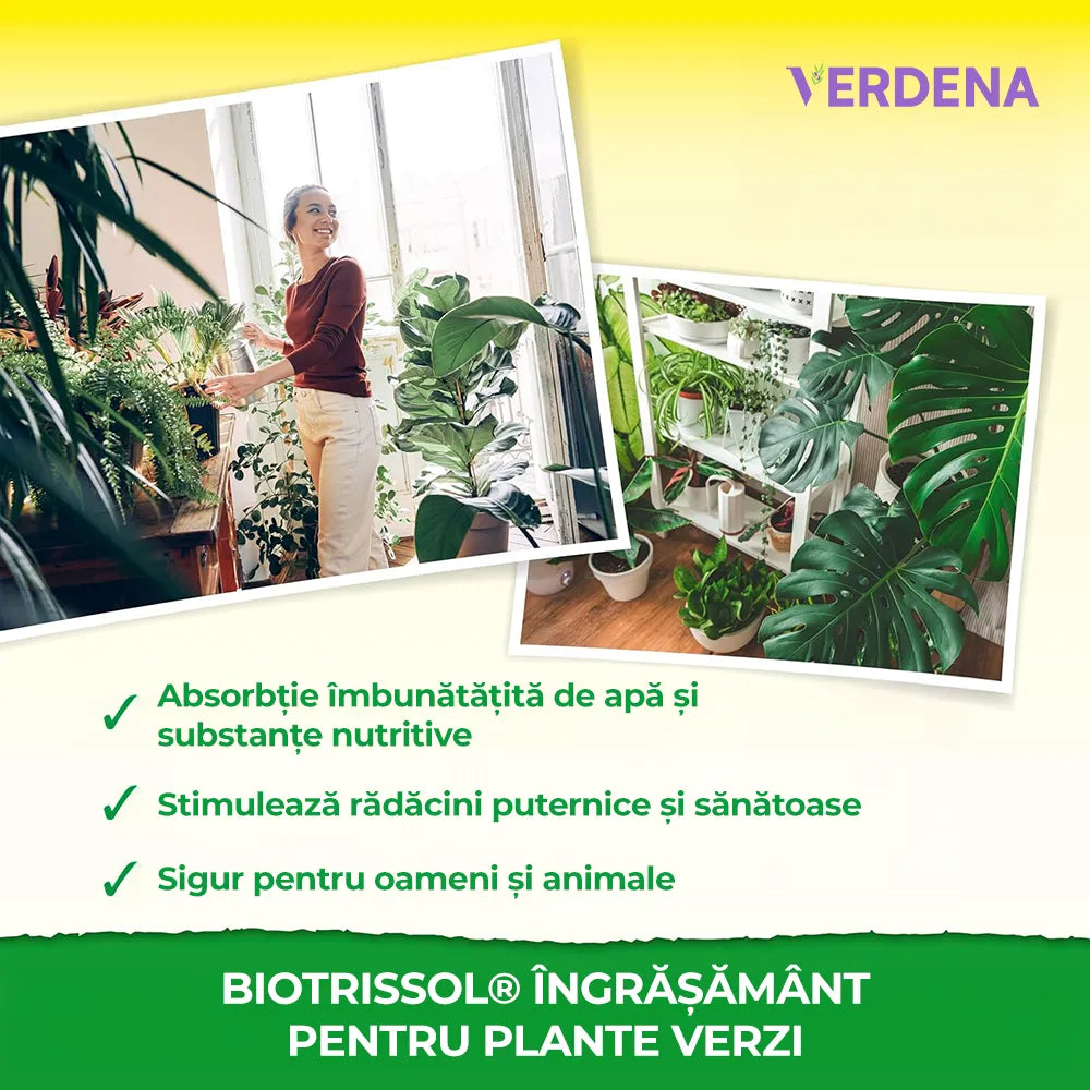 Ingrasamant Lichid pentru Plante Verzi, 250 ml, Crestere Rapida, Neudorff