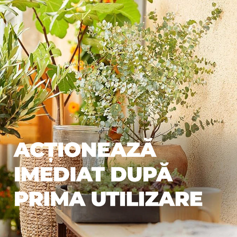 Ingrasamant Organic Lichid pentru Plante Citrice 500 ml, COMPO