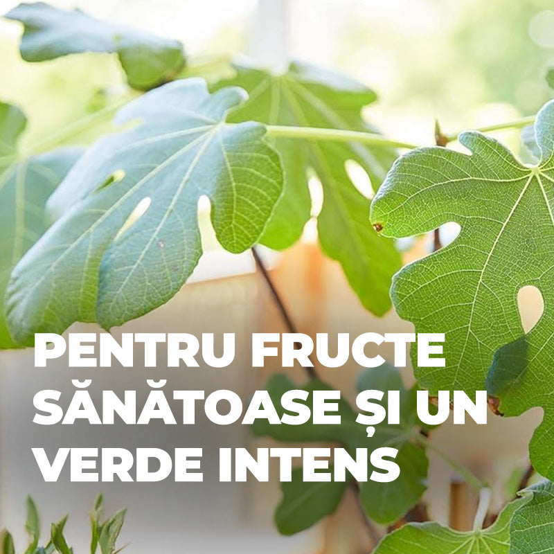 Ingrasamant Organic Lichid pentru Plante Citrice 500 ml, COMPO